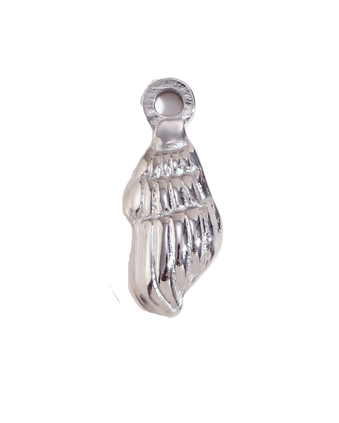 Silver Seasnail