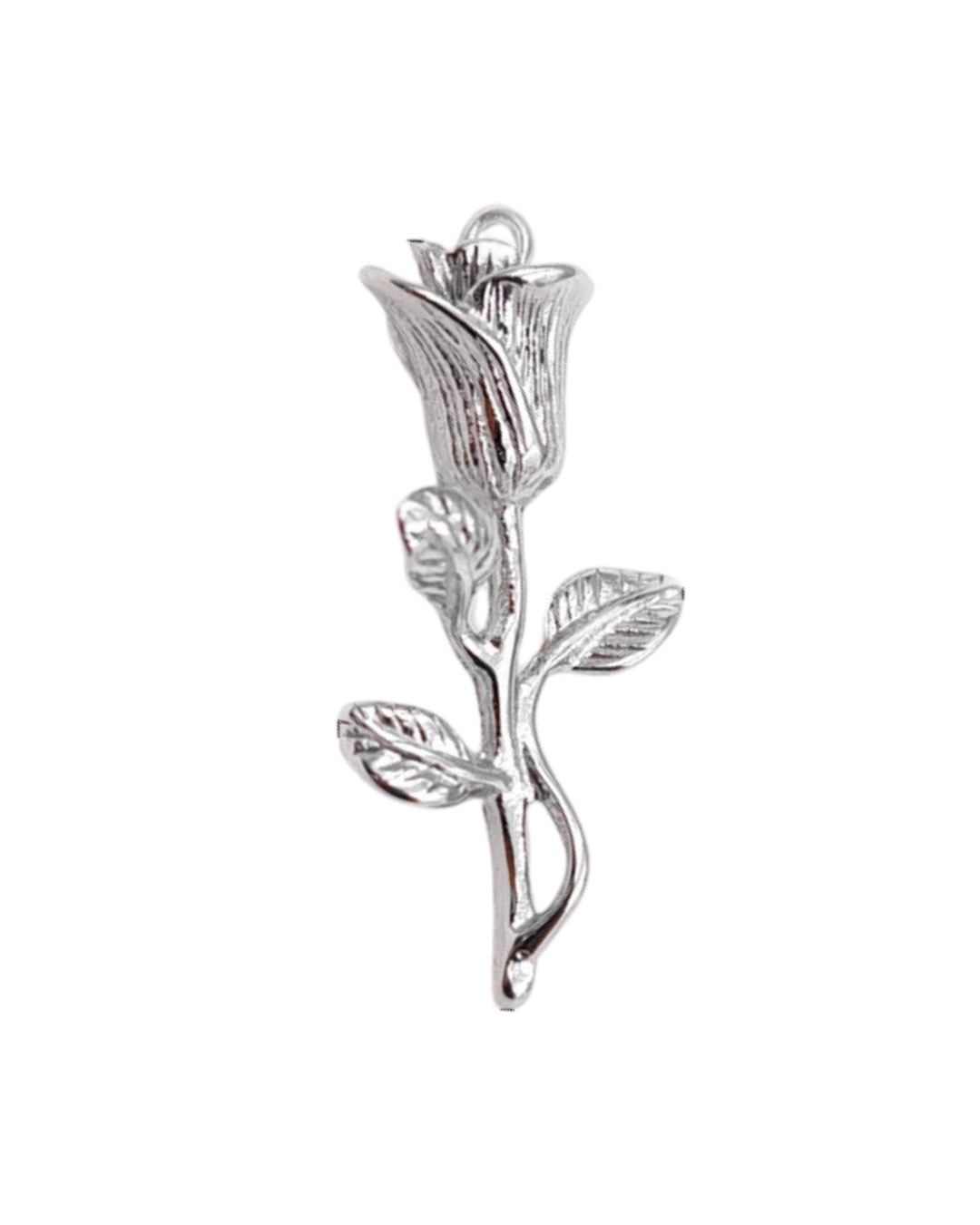 Silver Rose